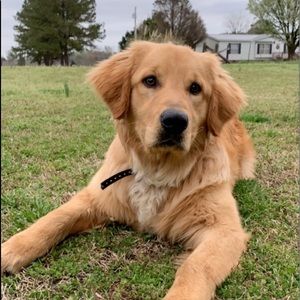 Meet your Posher, Kaitie